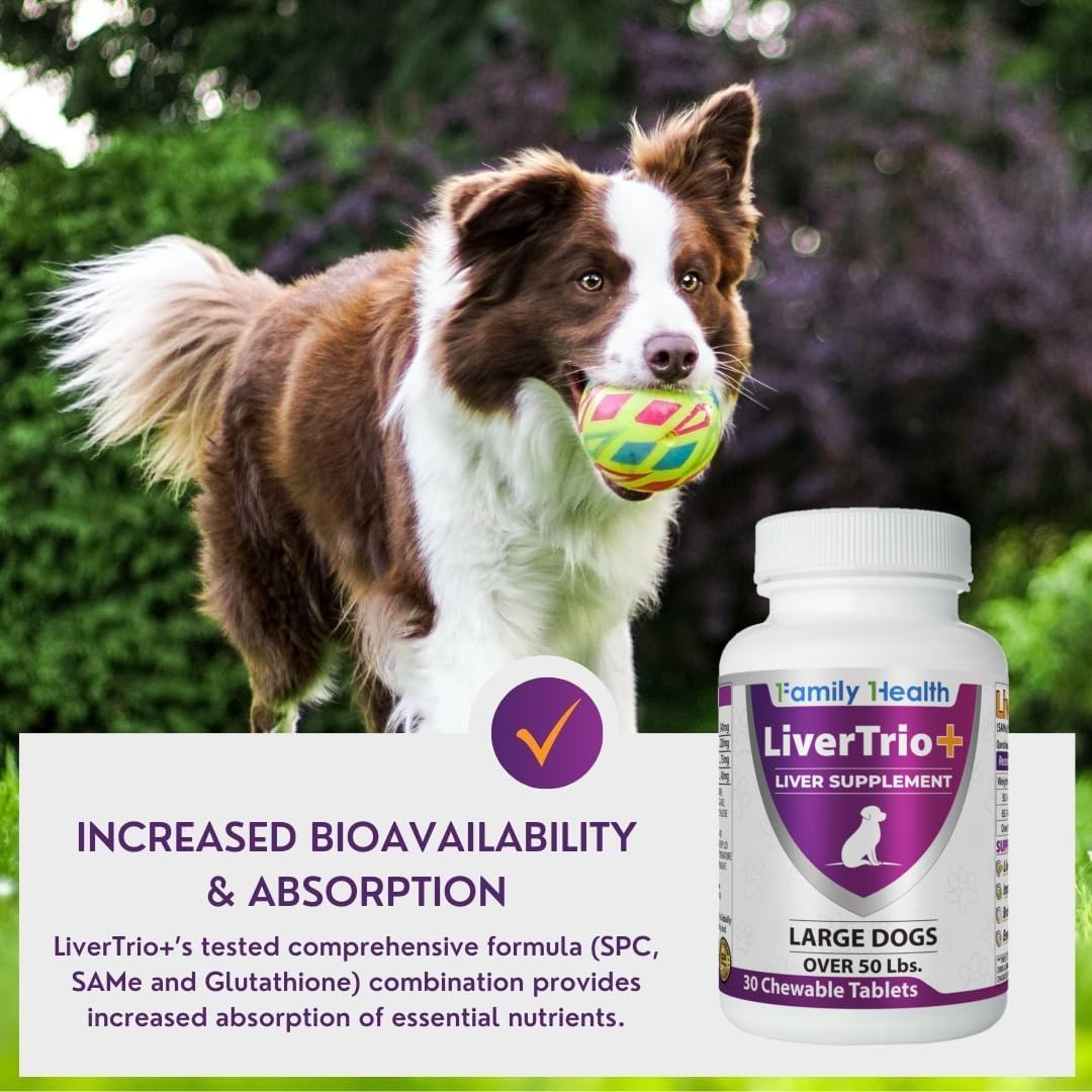 LiverTrio+ diseñado por farmacista y veterinario para uso diario.