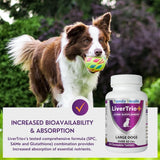 LiverTrio+ diseñado por farmacista y veterinario para uso diario.