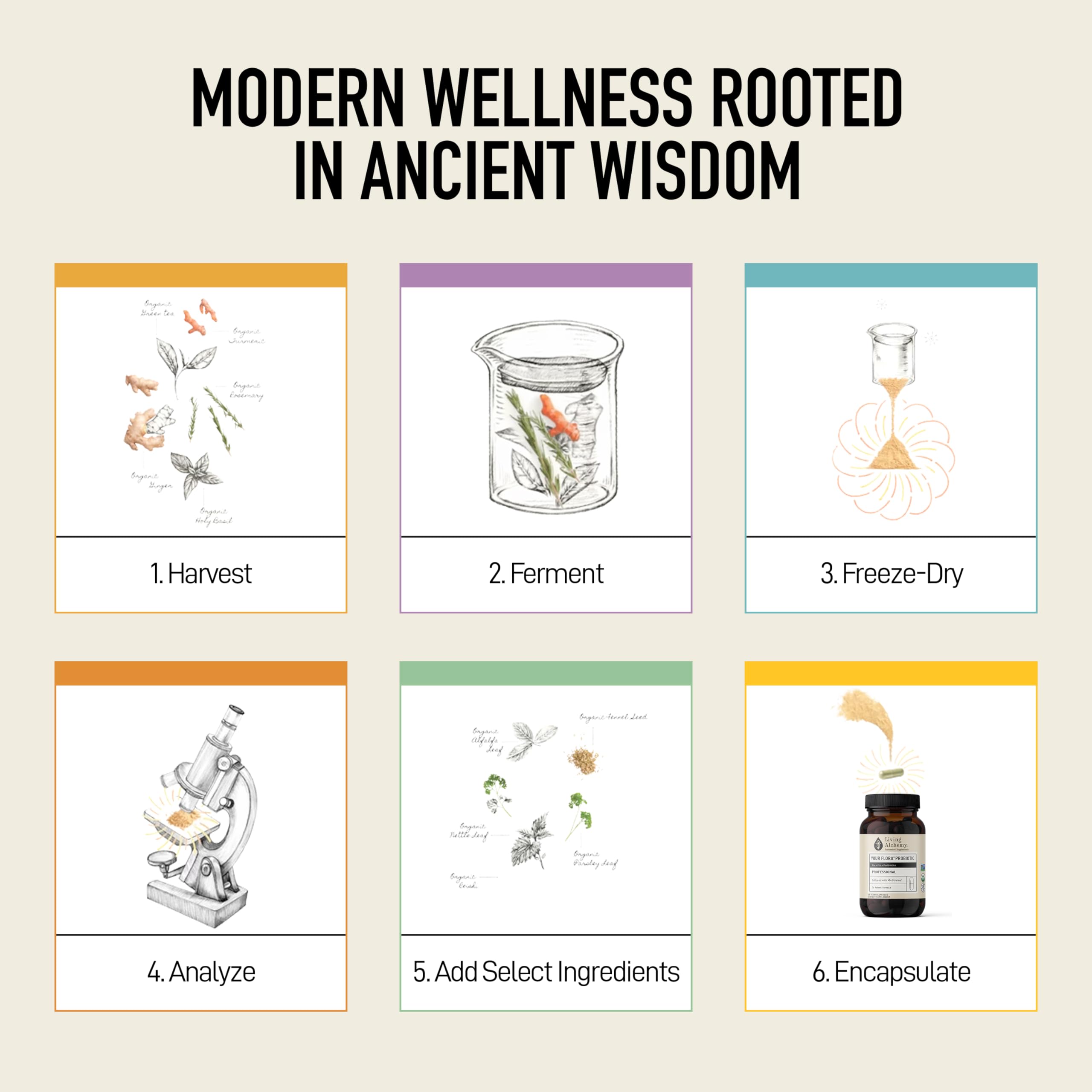 Living Alchemy Estilo Vida Salud: persona toma suplemento para bienestar general.