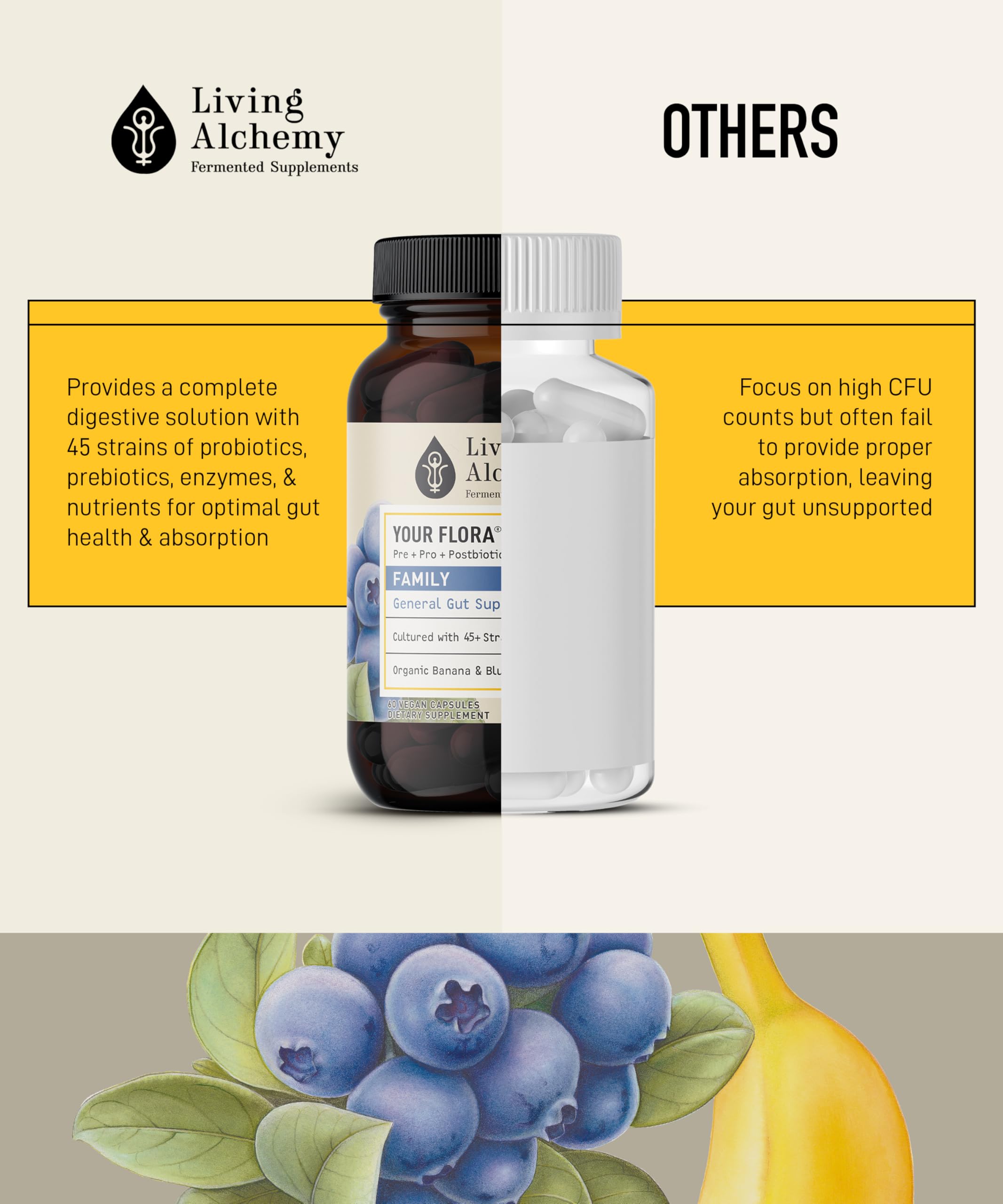 Living Alchemy Prebioticos y Postbioticos: componentes bioactivos para la salud intestinal.