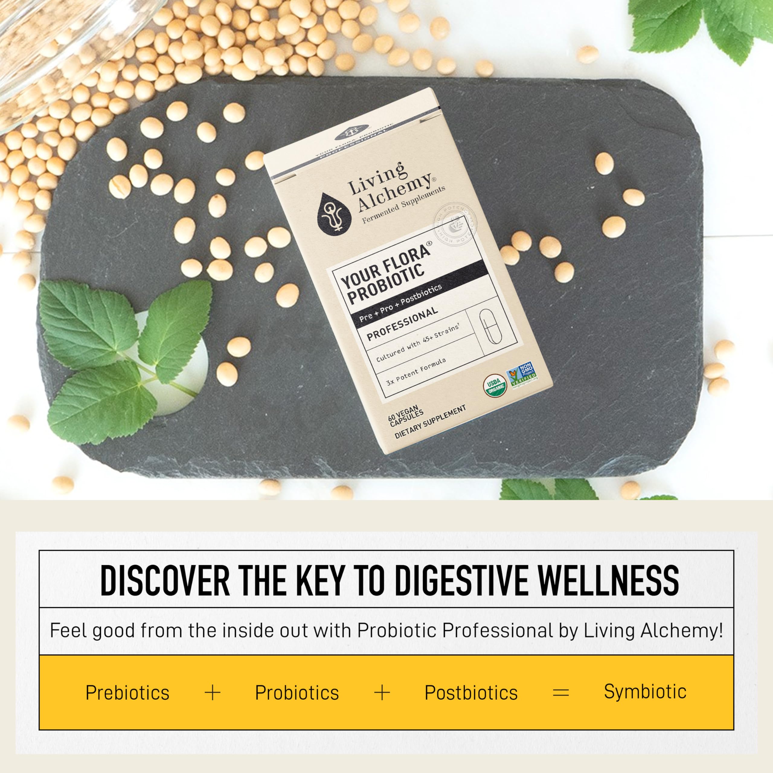 Living Alchemy Salud intestinal: cápsulas sobre fondo neutro para uso diario.