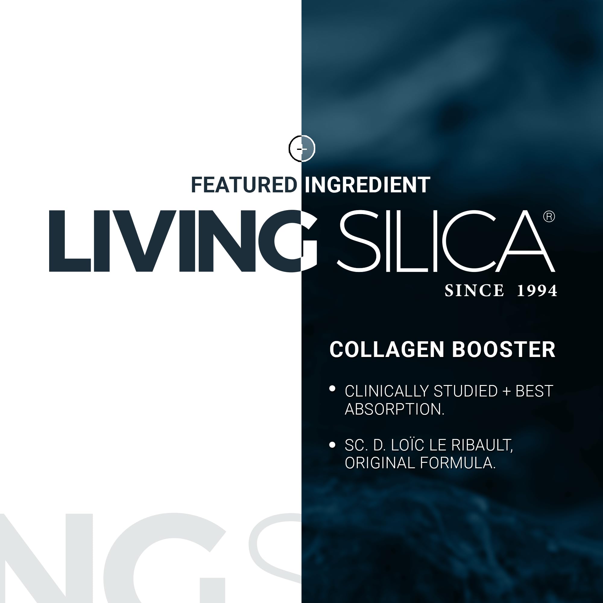 Living Silica, uso diario: posible apoyo a movilidad y elasticidad de la piel