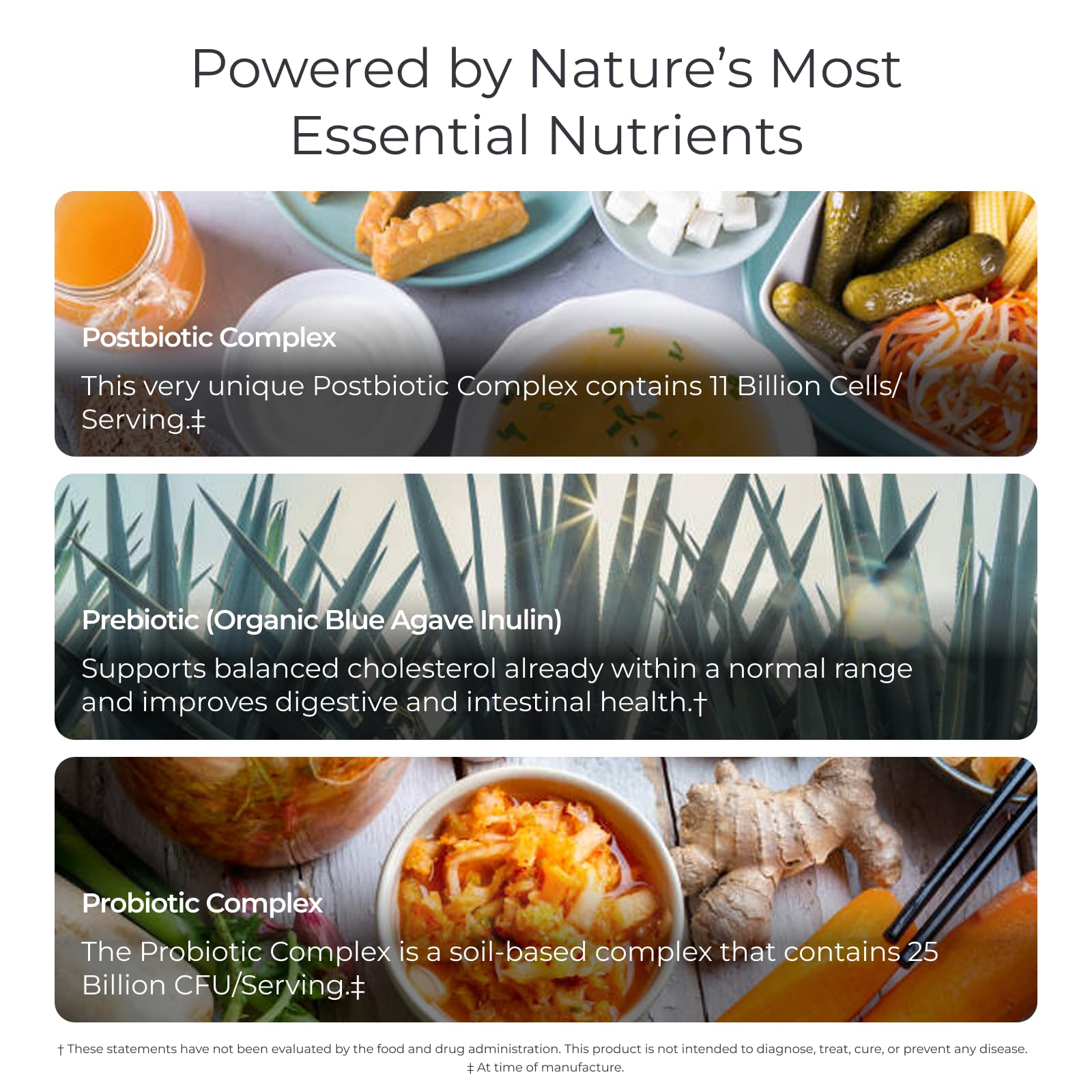 Livingood Daily postbióticos, 11 mil millones de células para complementar la salud intestinal
