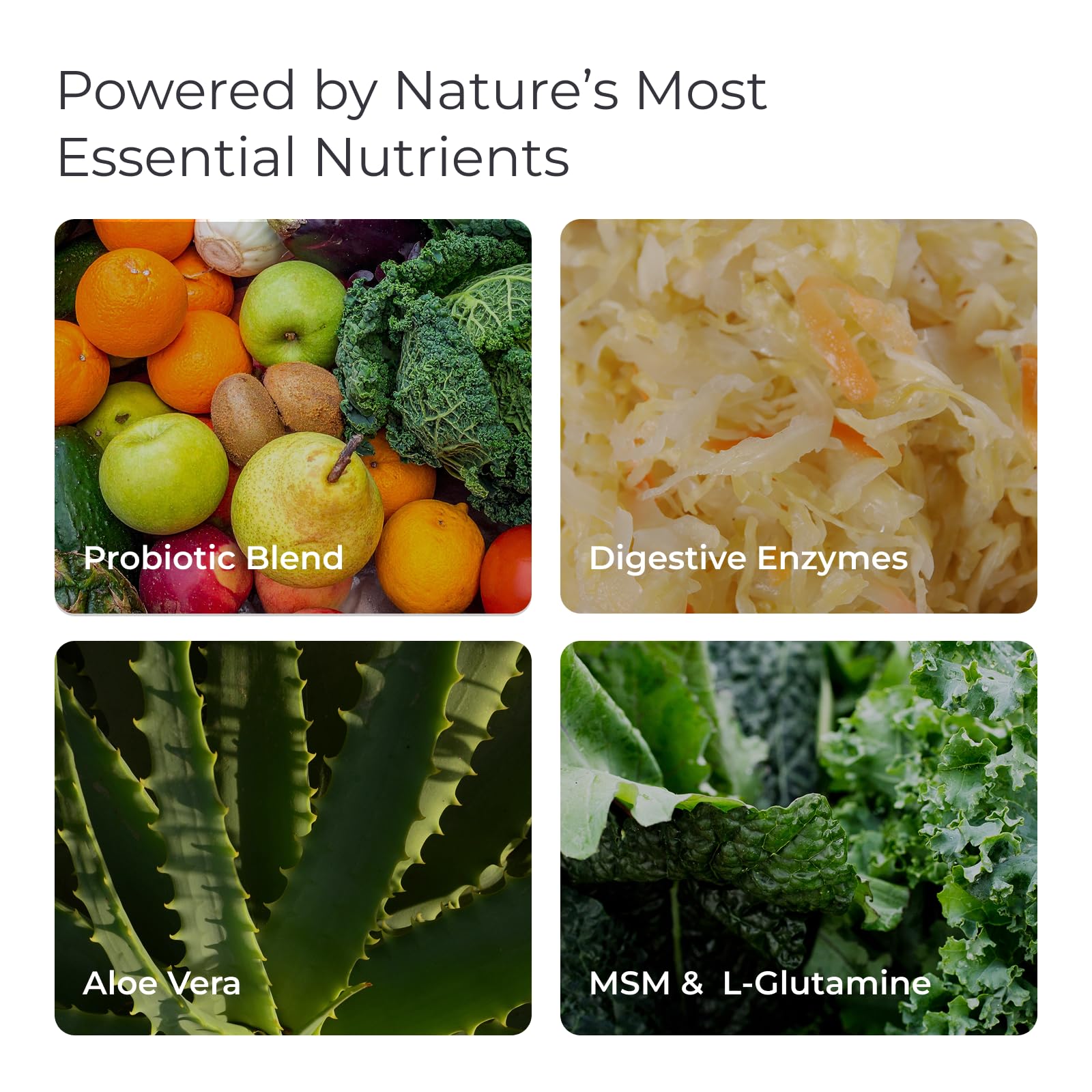 Livingood Daily probióticos 5 mil millones CFU, impulso para la microbiota intestinal.