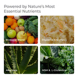 Livingood Daily probióticos 5 mil millones CFU, impulso para la microbiota intestinal.