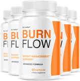 LIVORKA Burn Flow: botella de cápsulas para uso diario
