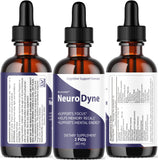 LIVORKA NeuroDyne, inicio del día con ritual suave, concentración.