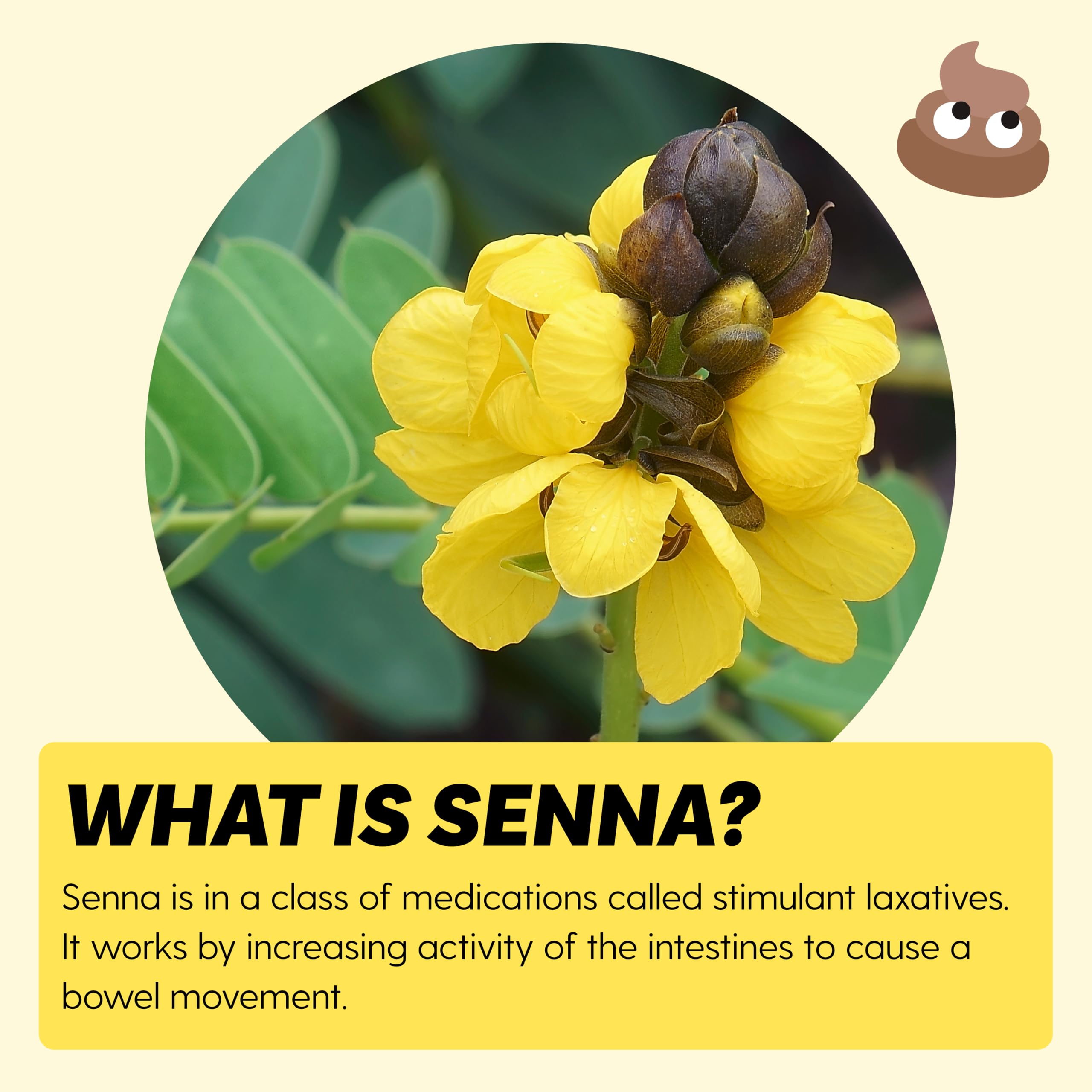 Llorenspharmaceutical Senna líquido: manos aplicando con gotero para dosis precisas.