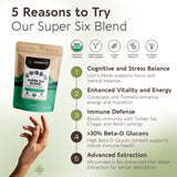 Longevity Botanicals, hongo chaga polvo, beneficios terrosos y antioxidantes naturales.