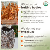 Cuchara medidora de Cordyceps Longevity Botanicals para dosis diarias