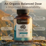 Fruto del hongo Trametes versicolor en Longevity Botanicals
