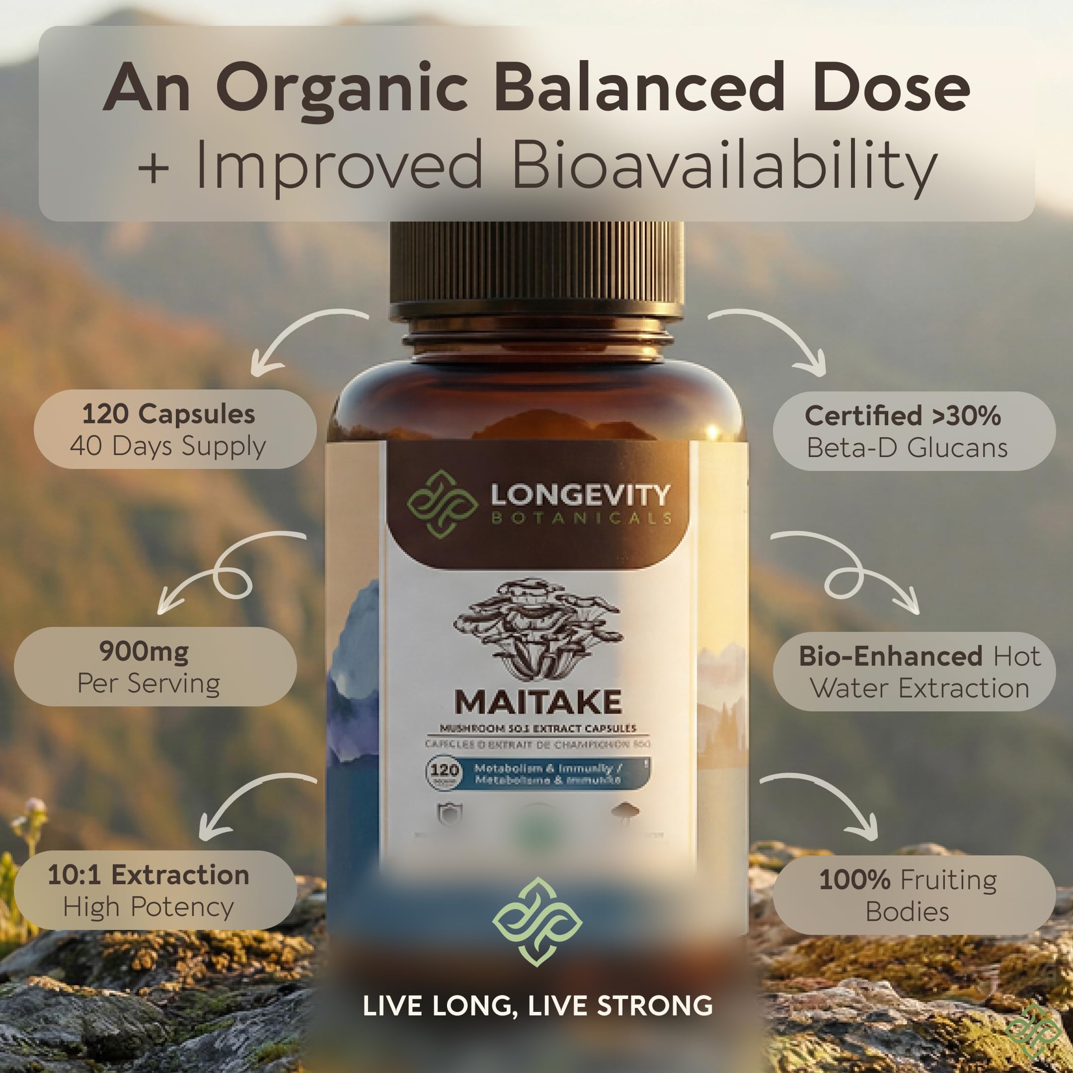 Longevity Botanicals Maitake: botella trasera con información de la etiqueta