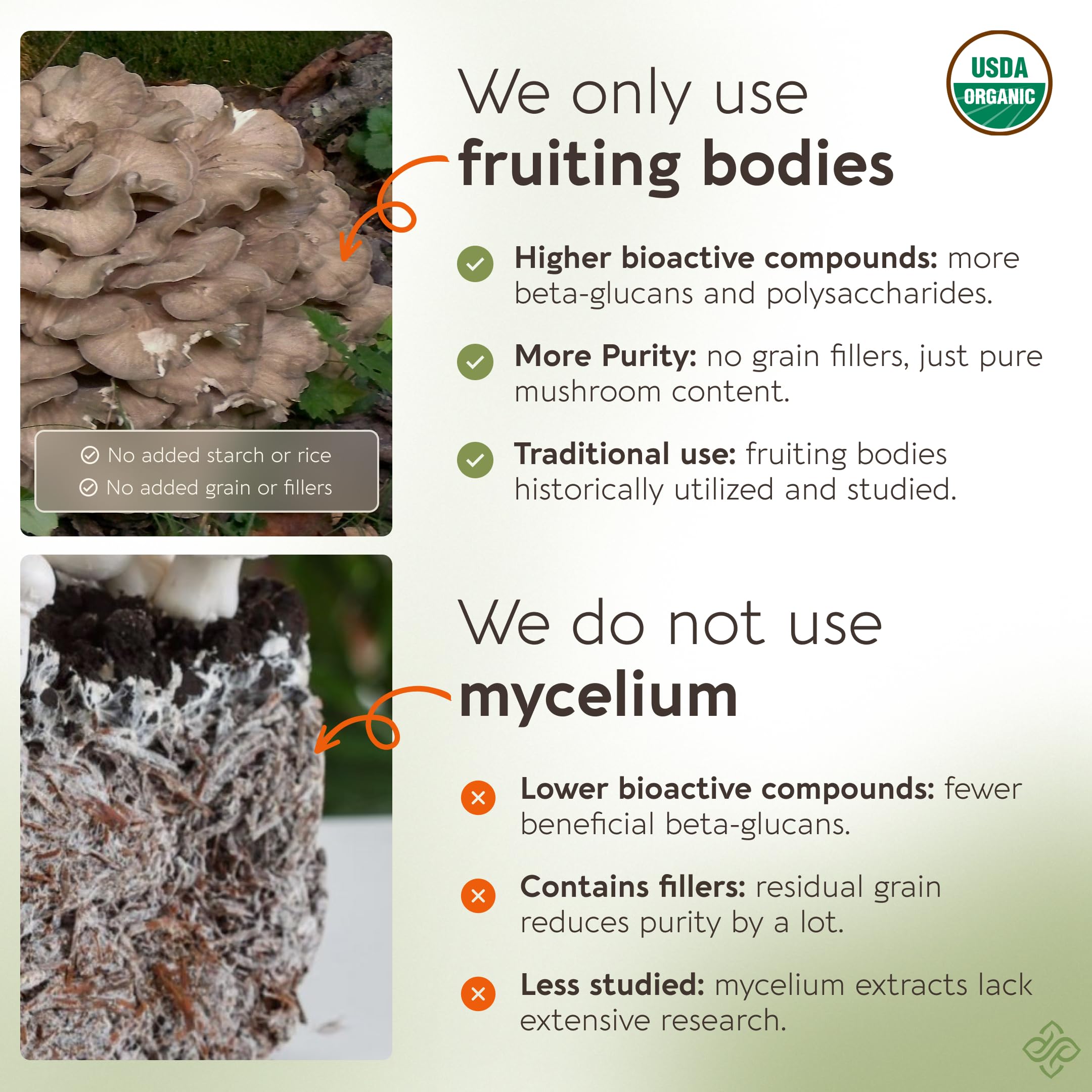 Longevity Botanicals Maitake: cápsulas en primer plano para solubilidad