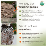 Longevity Botanicals Maitake: cápsulas en primer plano para solubilidad