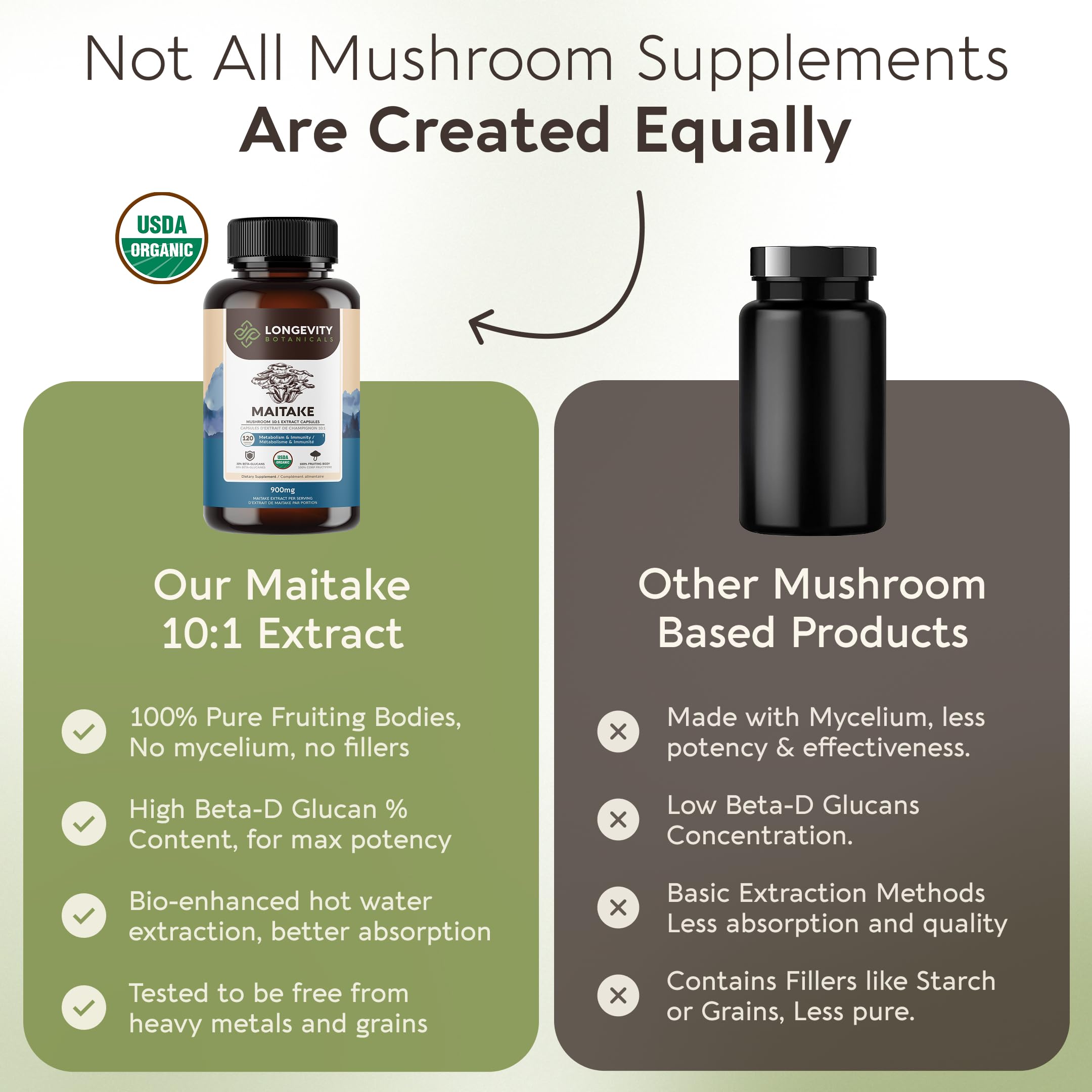 Longevity Botanicals Maitake: hongos Grifola frondosa en primer plano