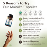 Longevity Botanicals Maitake: proceso de extracción mostrado en laboratorio