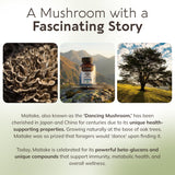 Longevity Botanicals Maitake: sello orgánico destacado en el envase
