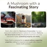 Longevity Botanicals Reishi ingredientes destacan extracto 10:1.