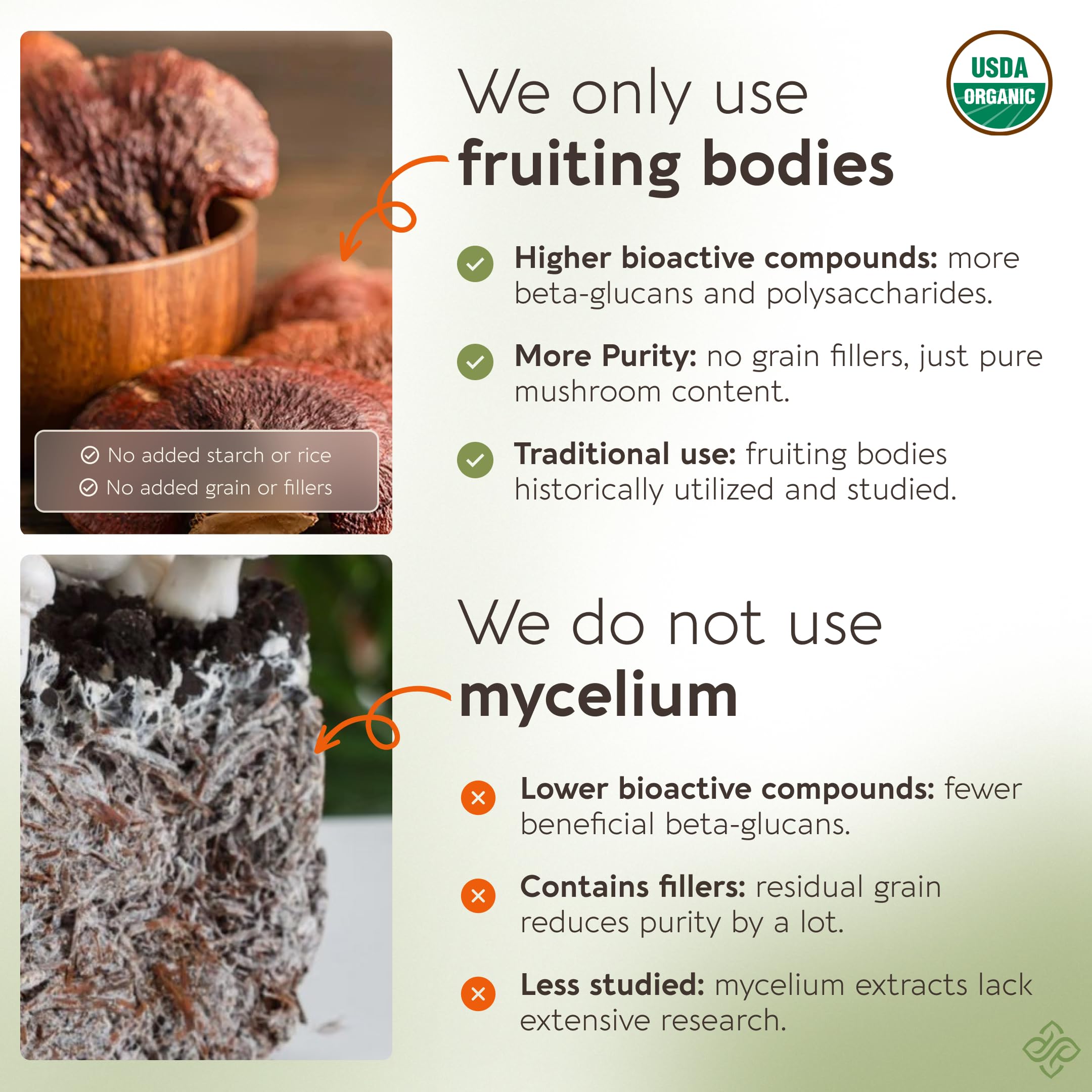 Longevity Botanicals Reishi cápsulas primer plano para tomar fácilmente.