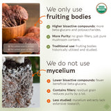 Longevity Botanicals Reishi cápsulas primer plano para tomar fácilmente.