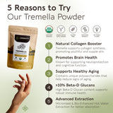 Longevity Botanicals Tremella beta-glucanos 10% para apoyo al sistema inmune y bienestar diario.