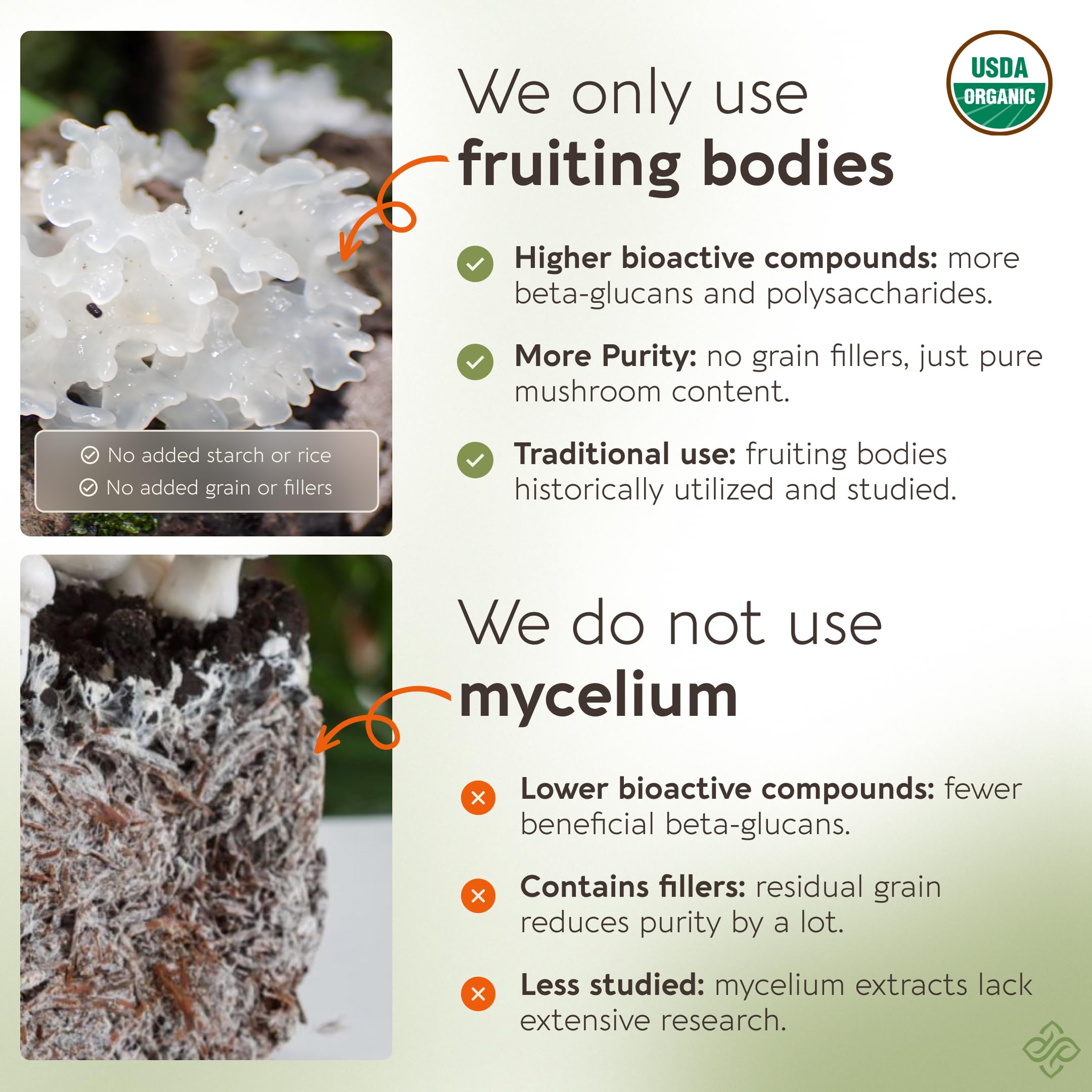 Longevity Botanicals Tremella hongo nieve en fruta entera para beneficios naturales.