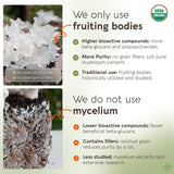 Longevity Botanicals Tremella hongo nieve en fruta entera para beneficios naturales.