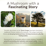 Longevity Botanicals Tremella textura ultrafina facilita mezclarla en smoothies o bebidas.