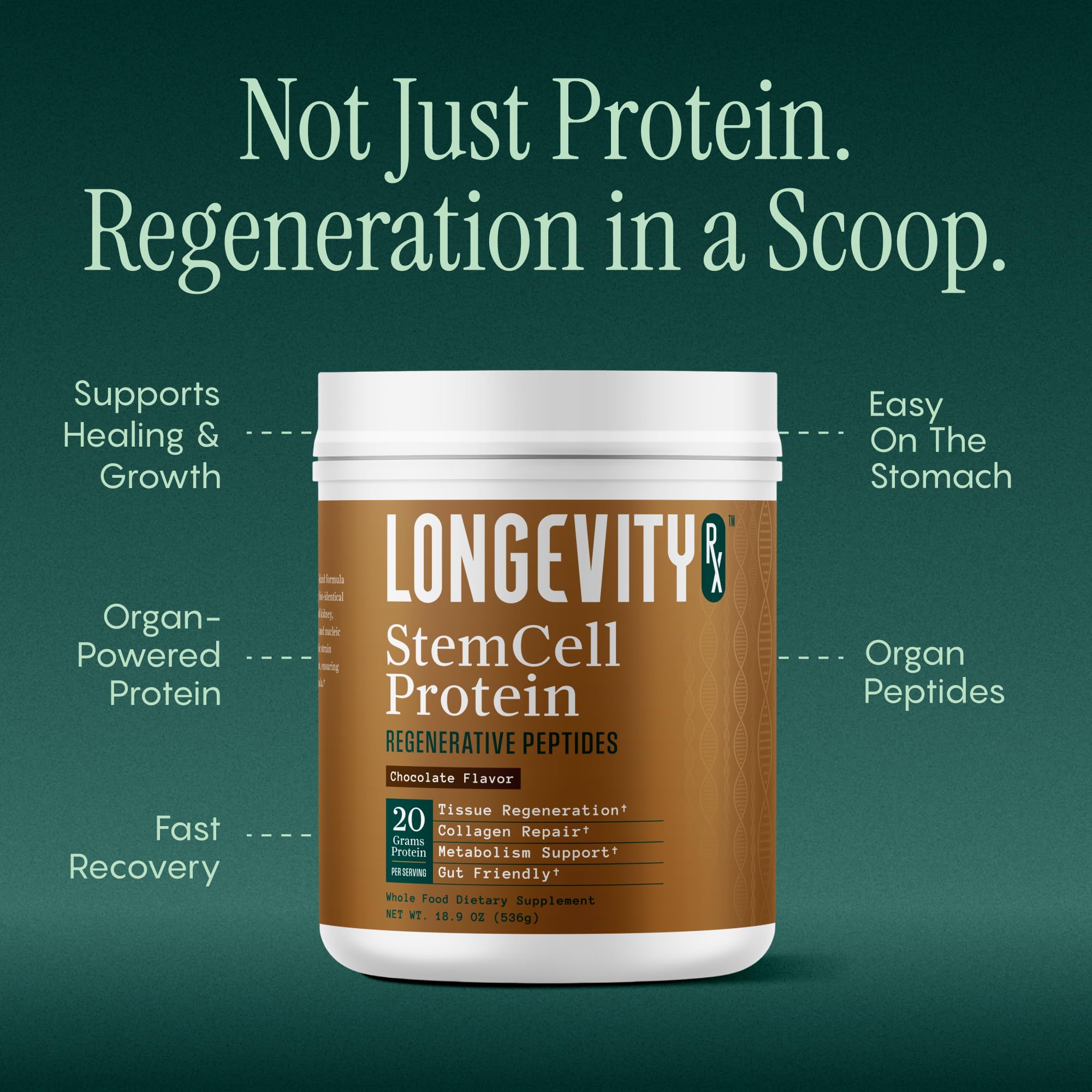 Longevity Rx Proteína de Células Madre Chocolate, textura cremosa para mezclar fácilmente.