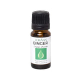 LorAnn Aceite de jengibre: frasco gotero para aromaterapia y saborizantes, aroma cálido.