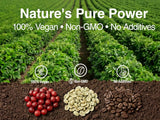 Ingredientes naturales Lovita sin aditivos, opción limpia para suplementos.