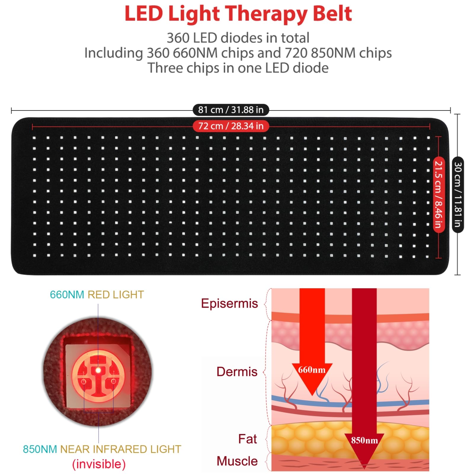 LOVTRAVEL luz LED potente de 50W para sesiones más rápidas