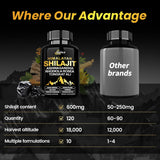 LSOIUX Shilajit-uso-diario-facil: forma cómoda de apoyar vitalidad.