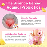 LTQXGT gomitas probióticas para mujeres, sabor piña