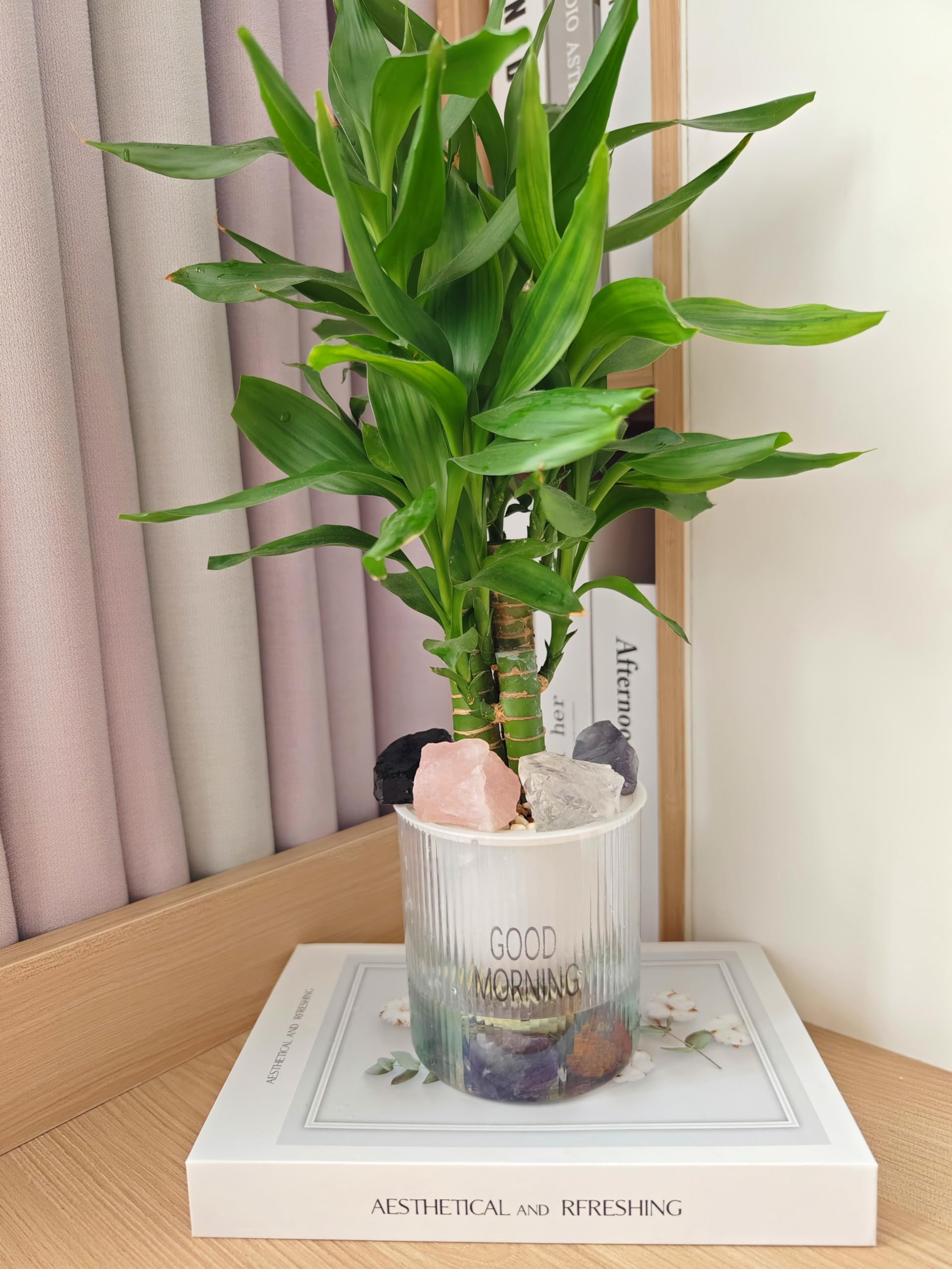 Luckeeper fluorita arcoíris: versátil para pulido, decoración y rituales
