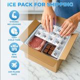 LUNA ICE: hielo seco para loncheras escolares, compacto y limpio
