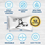 Luna Ice, solución de frío de larga duración para envíos de negocios