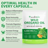 Etiqueta del producto Maaoun oregano orgánico de alta calidad