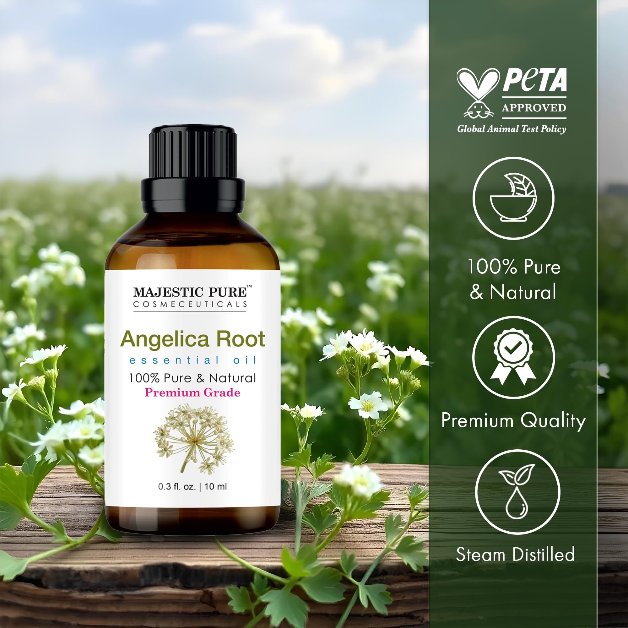 Majestic Pure Aceite Angelica Raíz con gotero para dosis precisas.