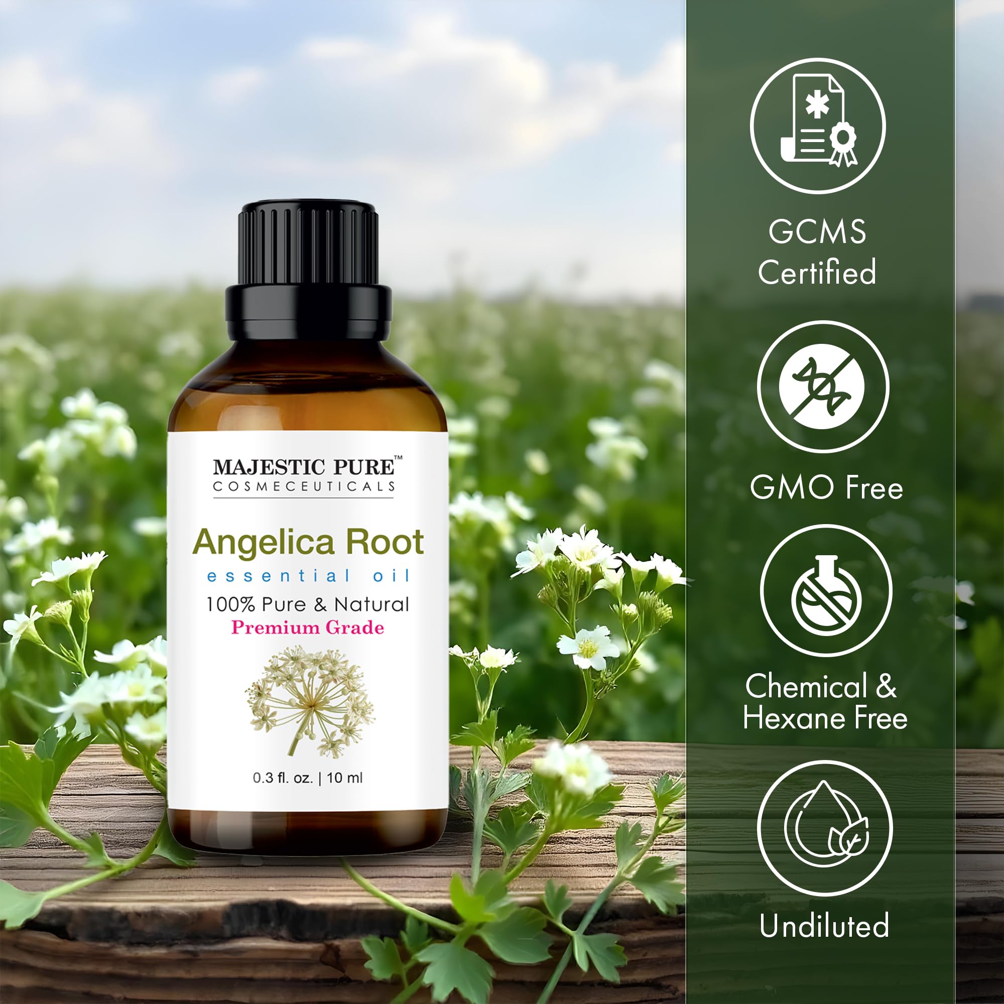 Majestic Pure Aceite Angelica Raíz para difusor y aromaterapia.