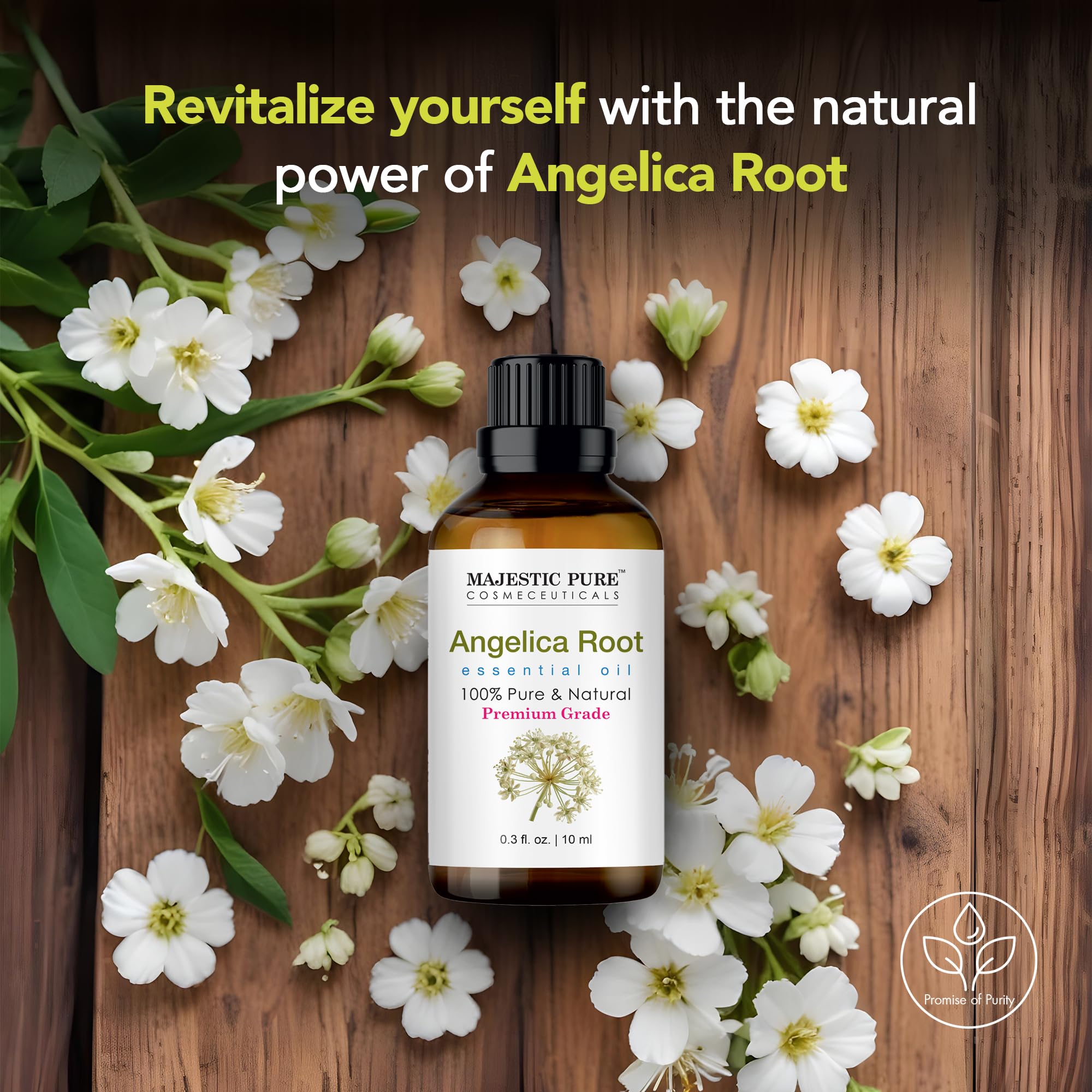 Majestic Pure Aceite Angelica Raíz para jabones y velas artesanales.