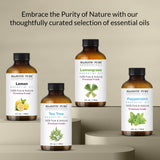 Majestic Pure Eucalipto para jabones y velas artesanales