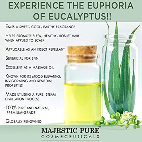 Majestic Pure Aceite Eucalipto de alta calidad para mezclas y difusiones