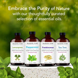 Aceite de Menta Majestic Pure para proyectos DIY aromáticos.