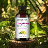 Aceite Majestic Pure Ylang Ylang en botella ámbar para conservar la fragancia.