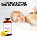 Difusor con Majestic Pure Ylang Ylang para aroma floral suave en el hogar.