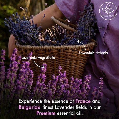 Majestic Pure Lavanda: aroma suave para ambientar espacios de forma natural.