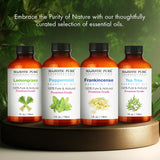 Majestic Pure Tea Tree Oil puro y sin diluir para mezclar en proyectos.