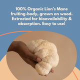 Malama Mushrooms: preparación para bebidas de café con enfoque suave sin cafeína.