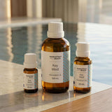 Manhattan Beach Difusor-hogar-lujo: crea ambiente agradable en salones.